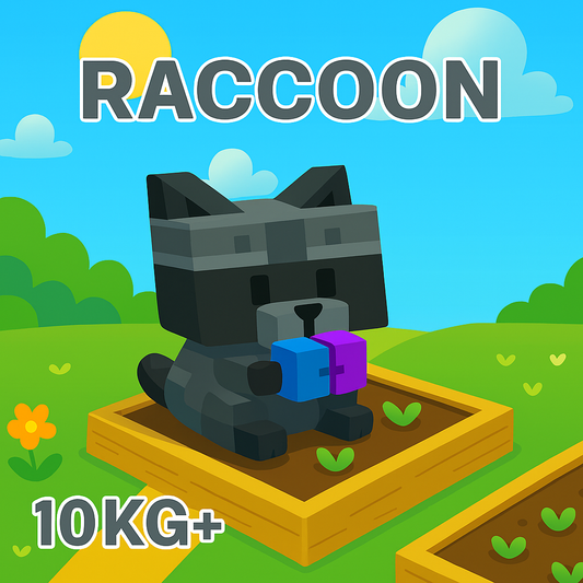 Huge Raccoon